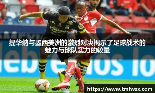 雷火亚洲电竞平台